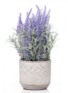 The Grange Collection Artificial Lavender Arrangement in Pot 21cm