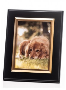 The Grange Collection Black with Gold Inner Frame 5x7in