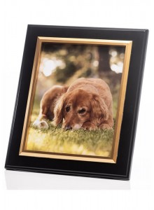 The Grange Collection Black with Gold Inner Frame 8x10in