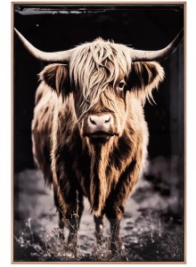 Stonewall Gallery Framed Picture Bull 50x70cm