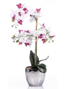The Grange Collection Cerise Orchid in Silver Pot 15x13cm