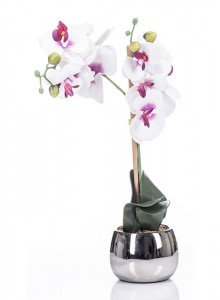 The Grange Collection Cerise Orchid in Silver Pot 13x9cm