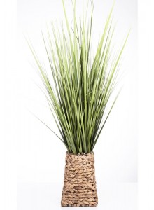 The Grange Collection Decorative Grass in Straw Basket 130cm