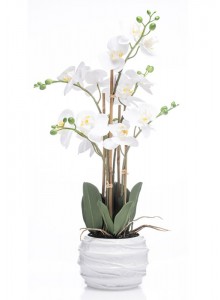 The Grange Collection White Artificial Real-Feel 3-Stem Orchid with White Pot