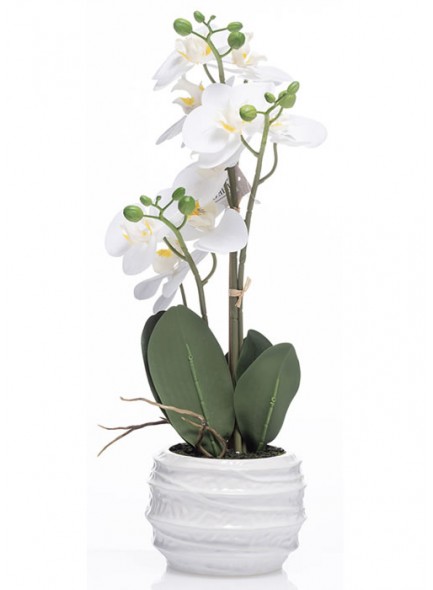 The Grange Collection White Artificial Real-Feel 4-Stem Orchid with White Pot