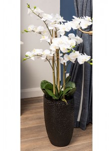The Grange Collection White Artificial Real-Feel 9-Stem Orchid with Black Pot